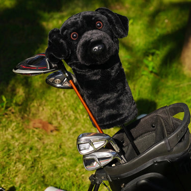 Black Labrador Driver Headcover - Lifestyle