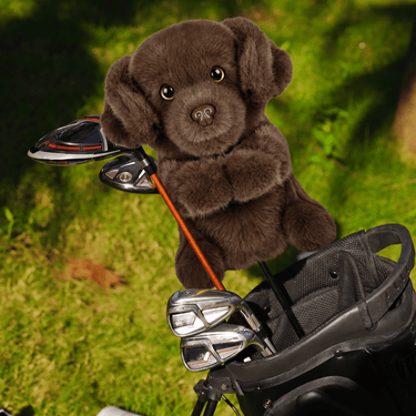 Brown Labrador Pup Driver Headcover - Lifestyle