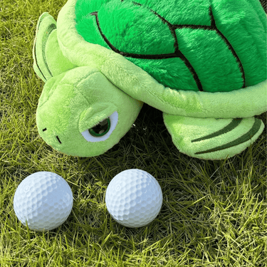 Turtle Buddy Driver Headcover - HeadCaddy